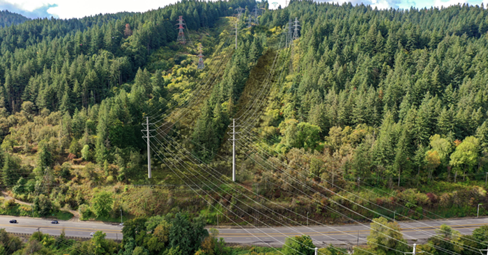 Portland Hearings Officer Signs Off on PGE's Forest Park Utility Plan